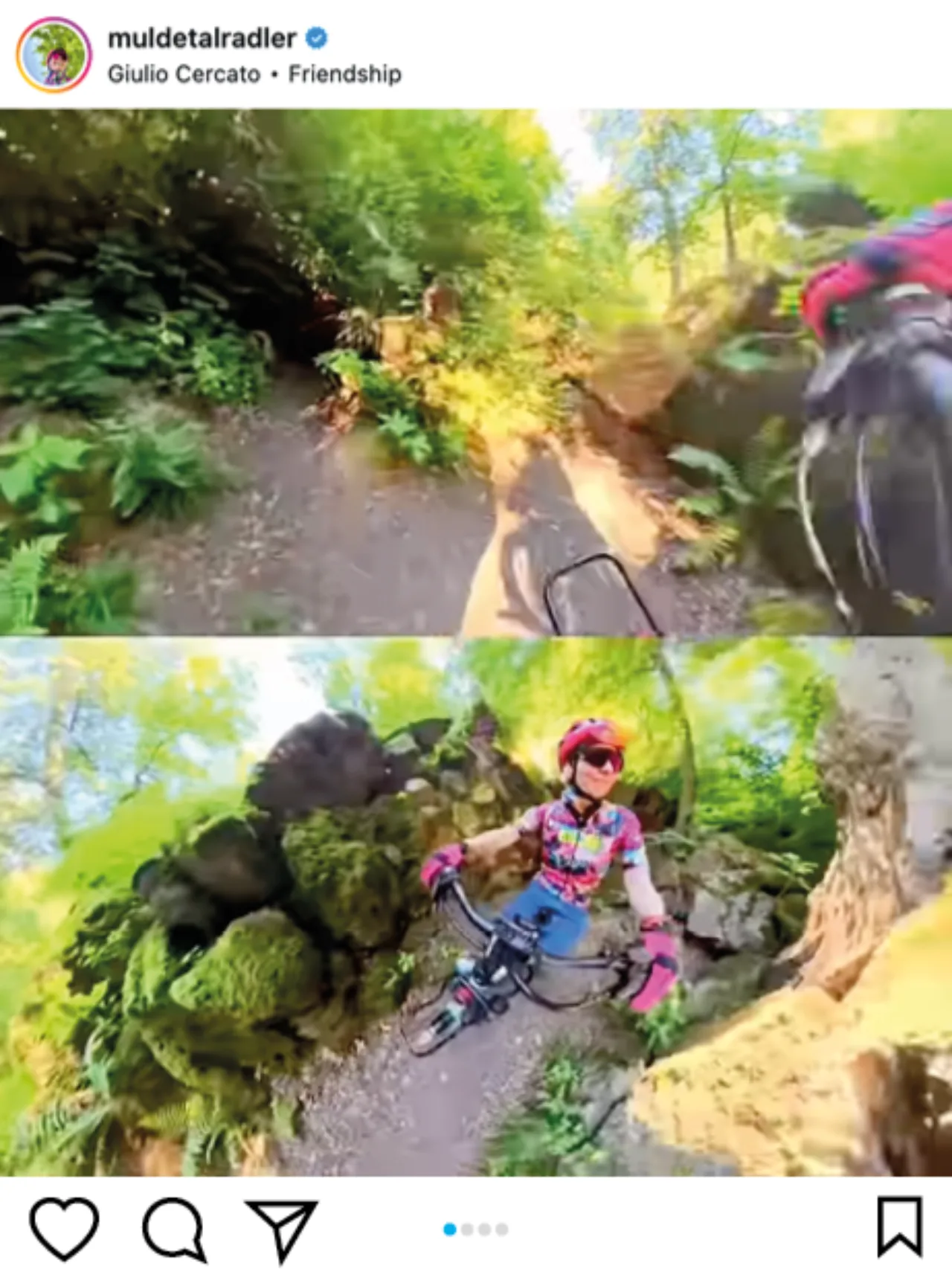 Instagram Muldetalradler